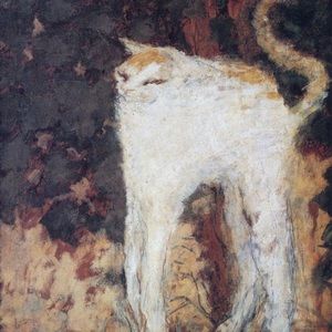 Meet your Posher, Aurora